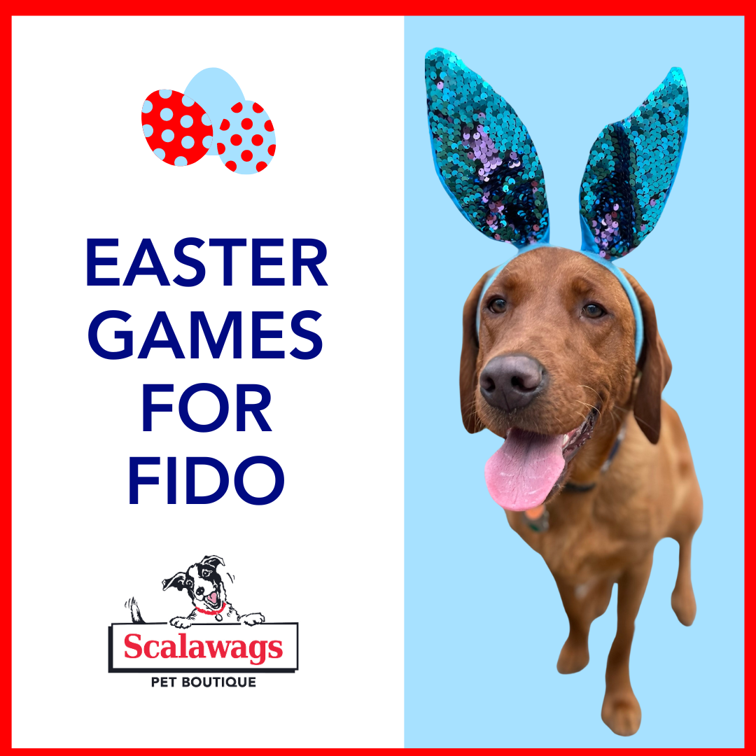 Easter Games for Fido