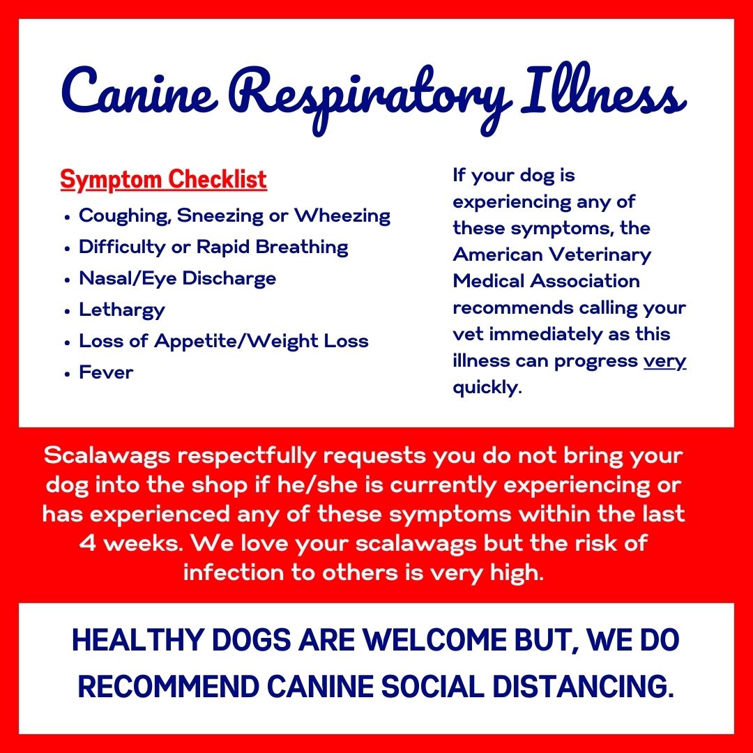 Scalawags' Canine Respiratory Illness Protocol