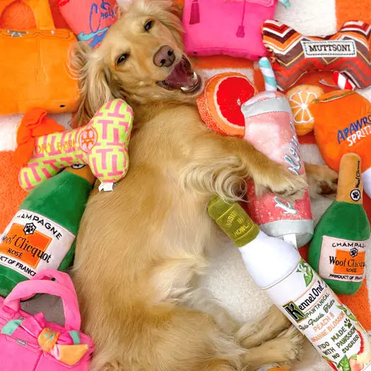 Designer & Novelty Dog Toys for Scalawags