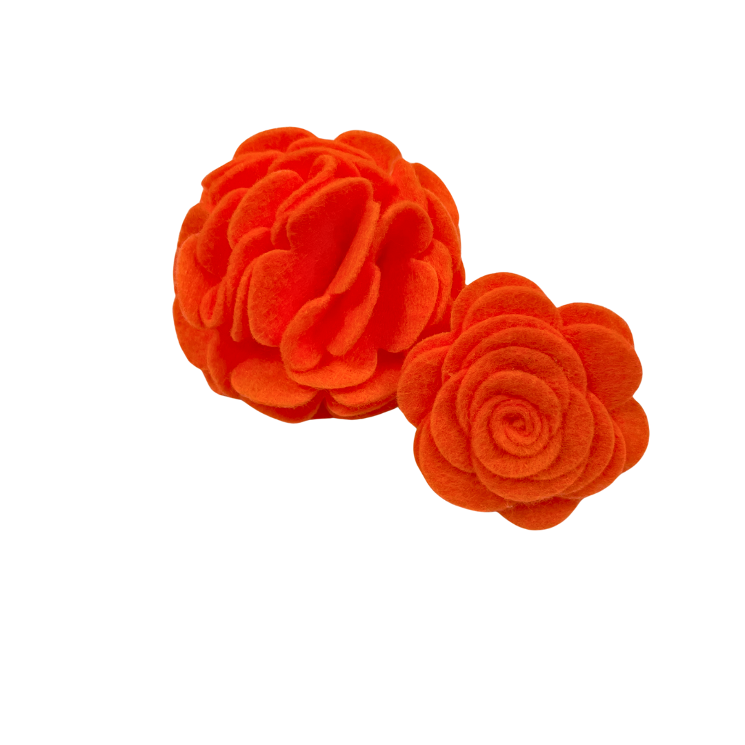 Orange Collar Flower