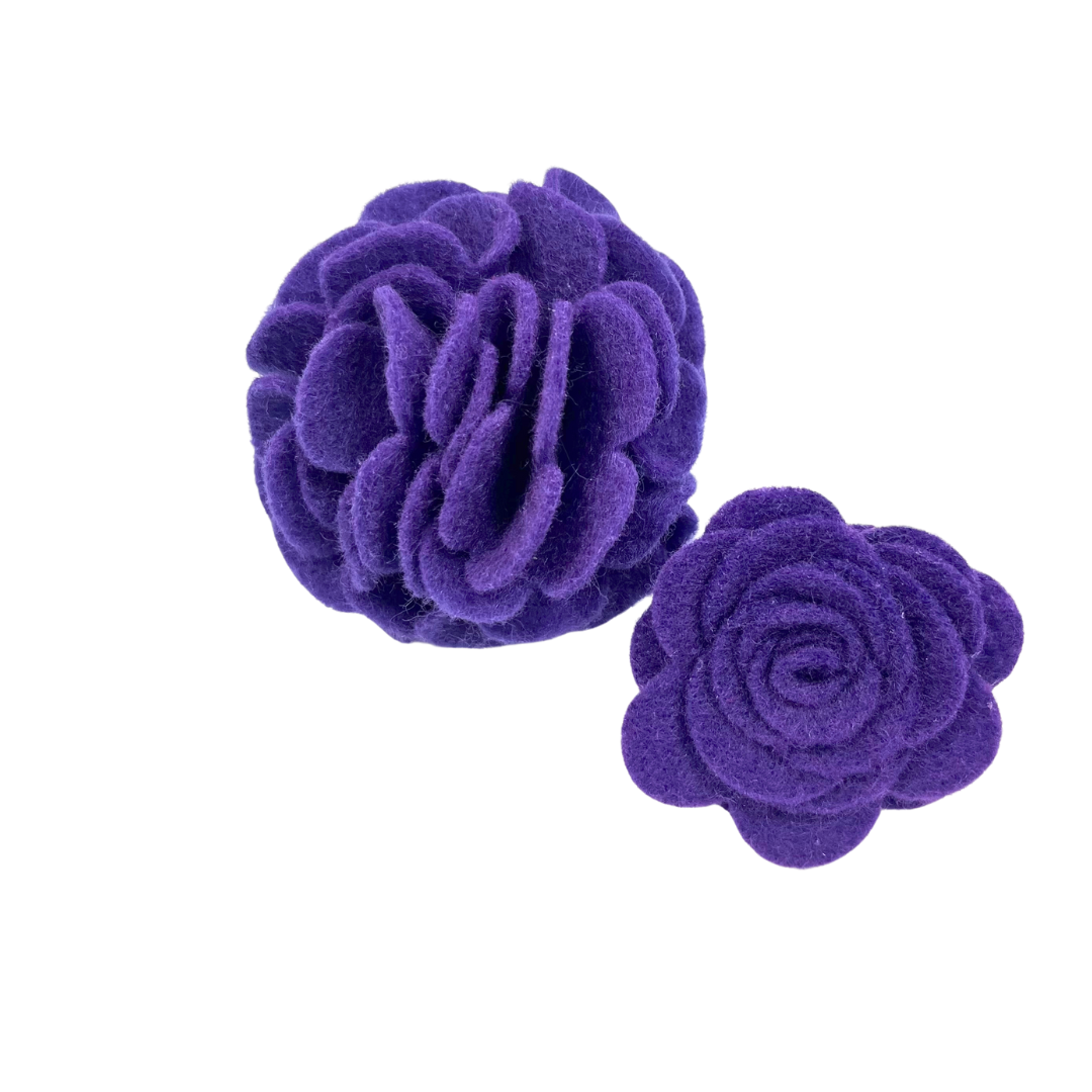 Purple Collar Flower