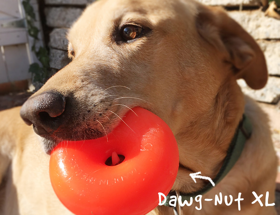 Ruff Dawg Dawg-Nut XL