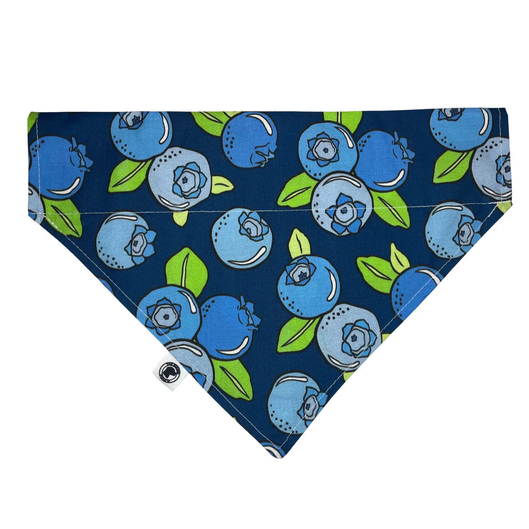 Maine Blueberries Bandana