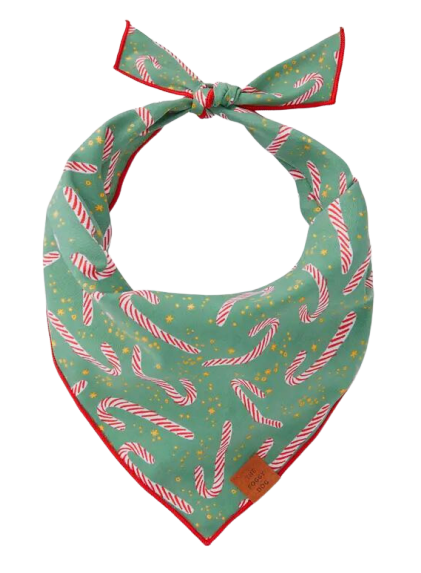 Foggy Dog Candy Cane Dog Bandana