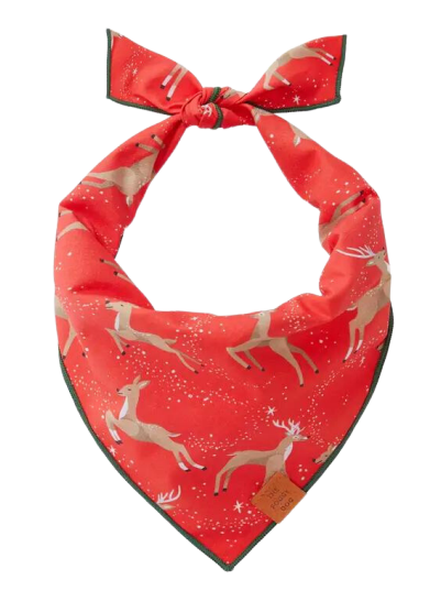 Foggy Dog Deer Dog Bandana