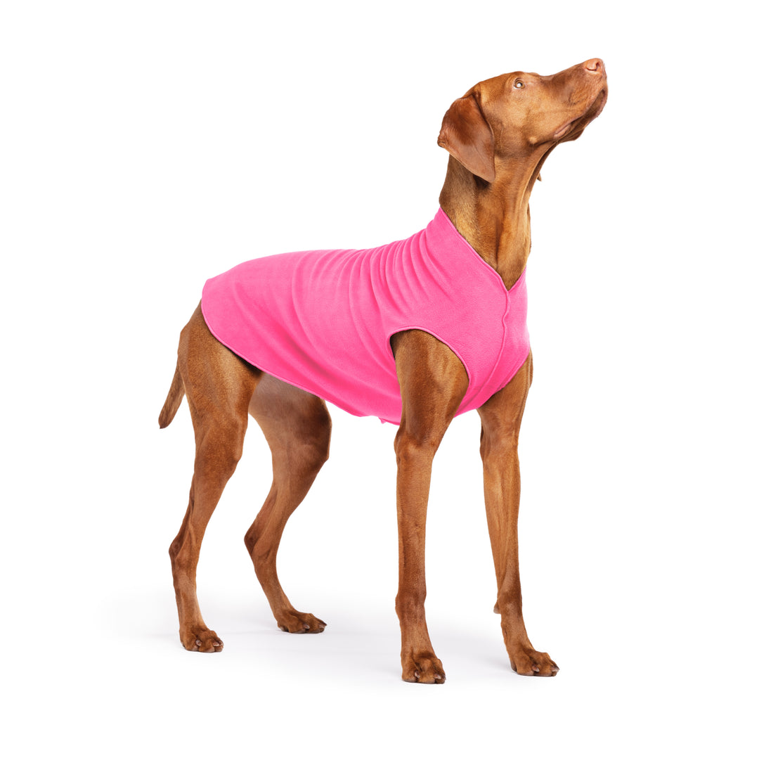 Gold Paw Stretch Fleece - New! Hot Pink