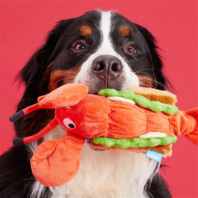 lobster roll dog toy