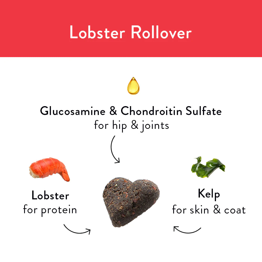 Lobster Rollover Dog Treats
