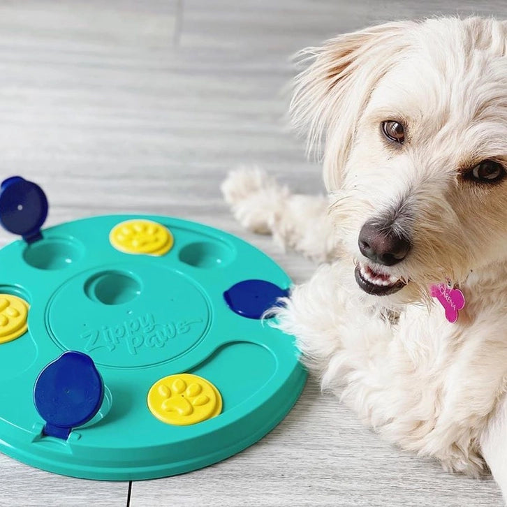 SmartyPaws 3-in-1 Puzzler