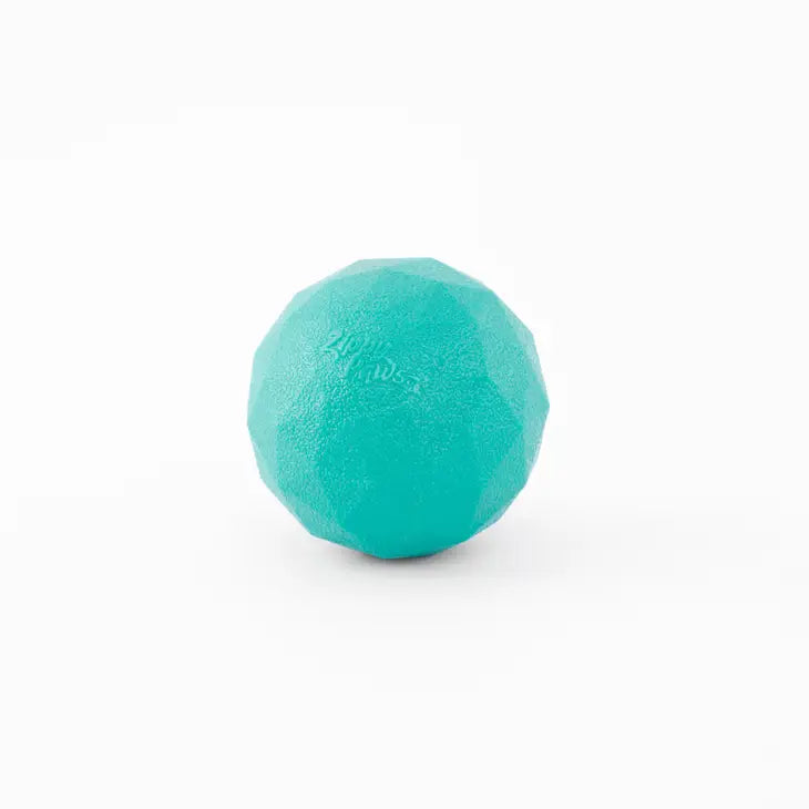 Zippy Paws Waggle Ball