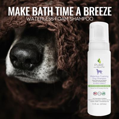 Organic Waterless Foaming Shampoo