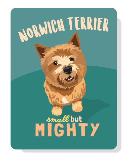 Norwich Terrier Indoor/Outdoor Sign