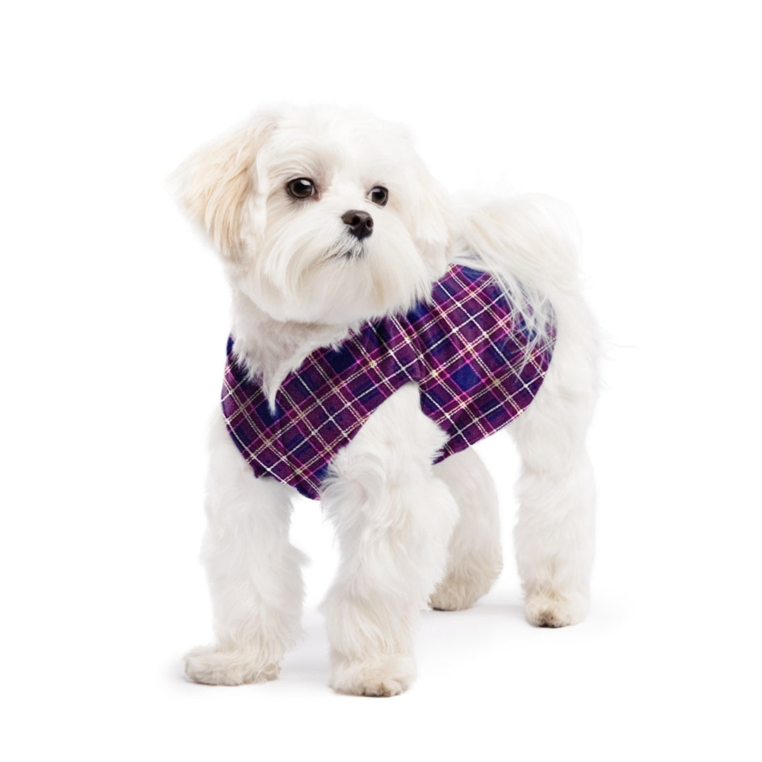 Gold Paw Stretch Fleece - Mulberry Plaid