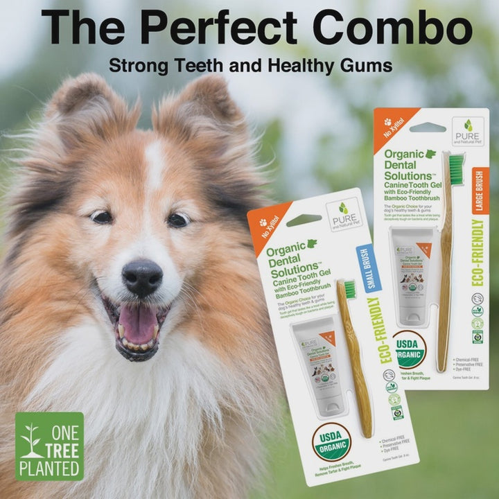 Organic Dental Kit for Dogs