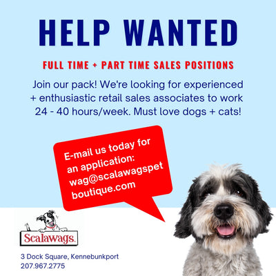 Scalawags is Hiring!