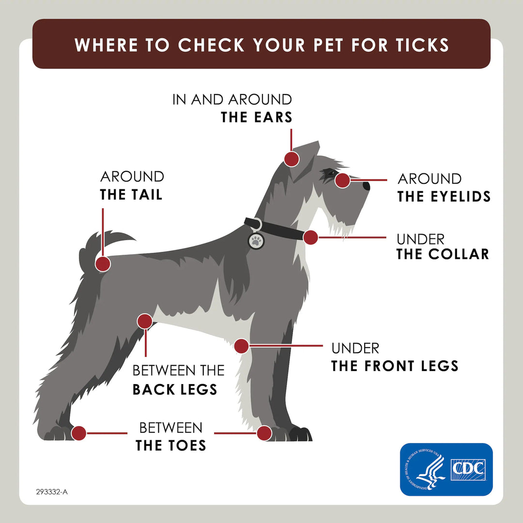 Where to check your pet for ticks as recommended by the CDC