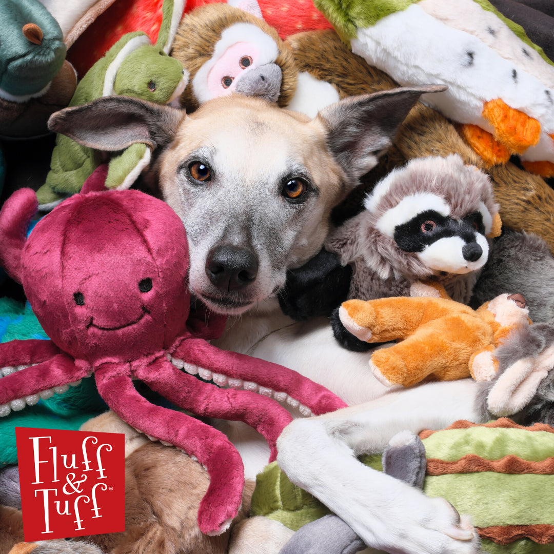 Fluff & Tuff Shop