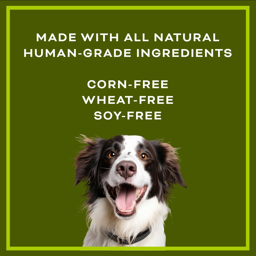 con_Cheeseburger_Soft_Chewy_Dog_Treats