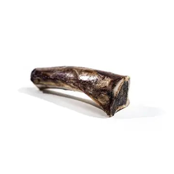 Bison Marrow Bone for Dogs
