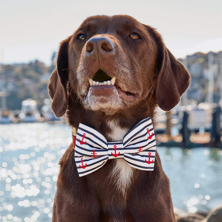 Anchor Embroidered Dog Bow Tie