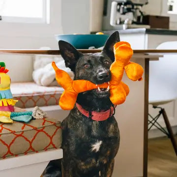 Party Animal Balloon Buddy Plush Dog Toy