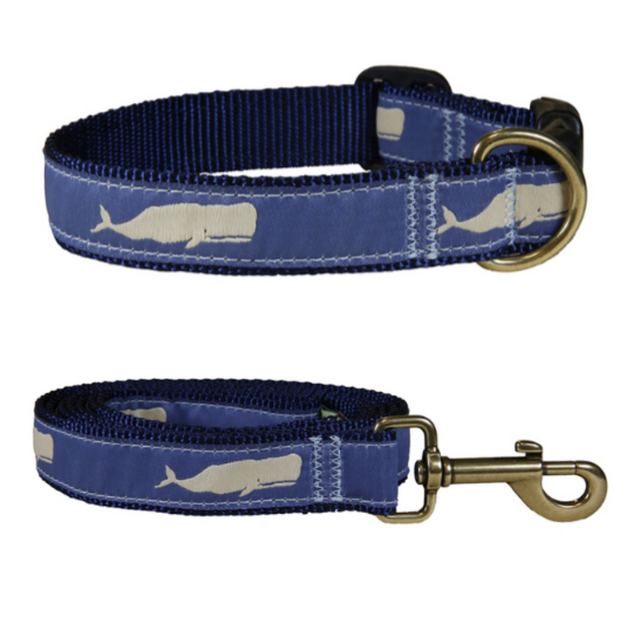 Blue Moby Dog Collar & Leash