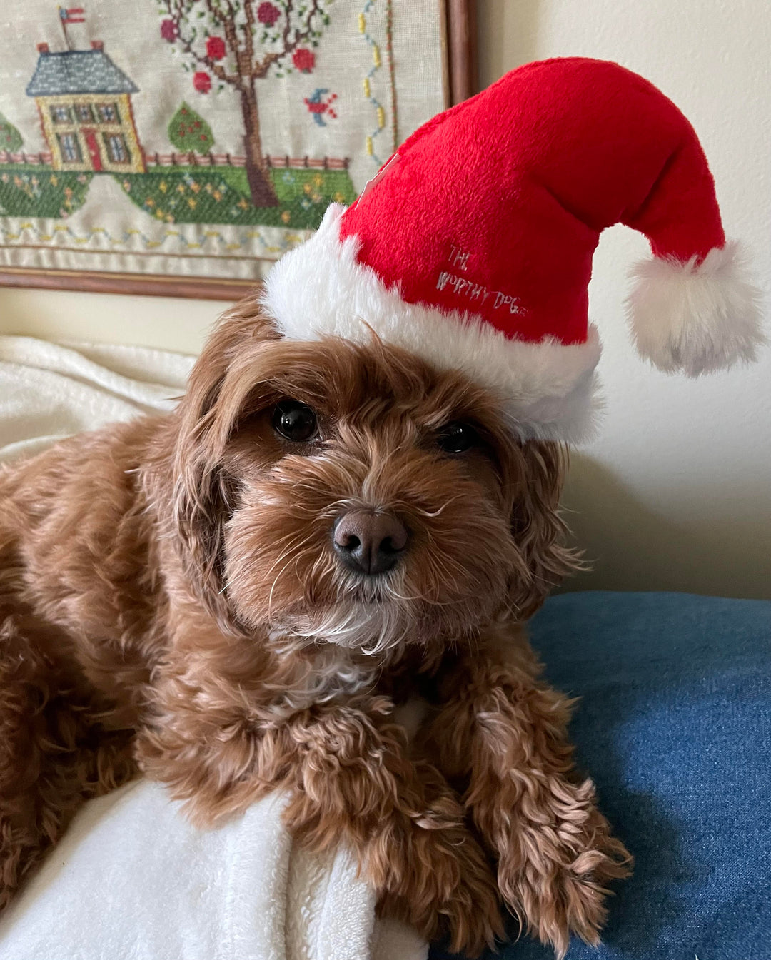 Bonnie loves her santa hat/toy!