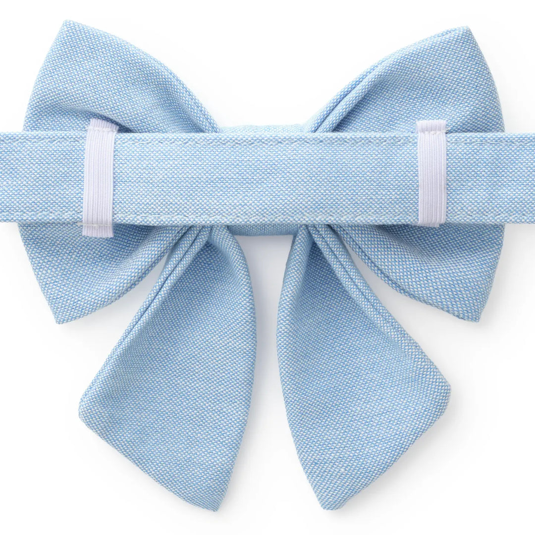 Daisy Embroidered Lady Dog Bow