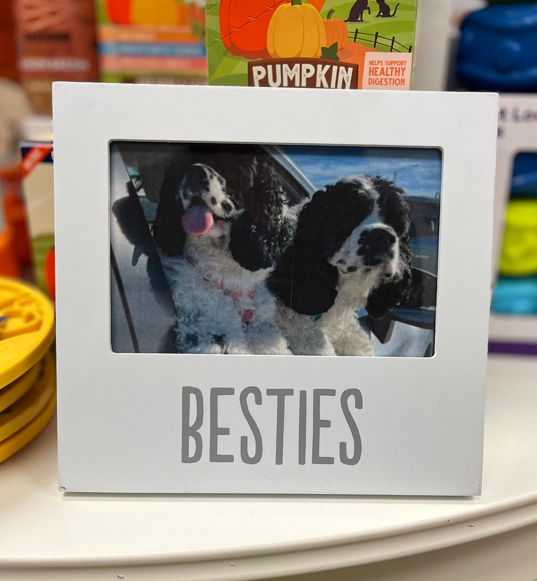 "Besties" Picture Frame