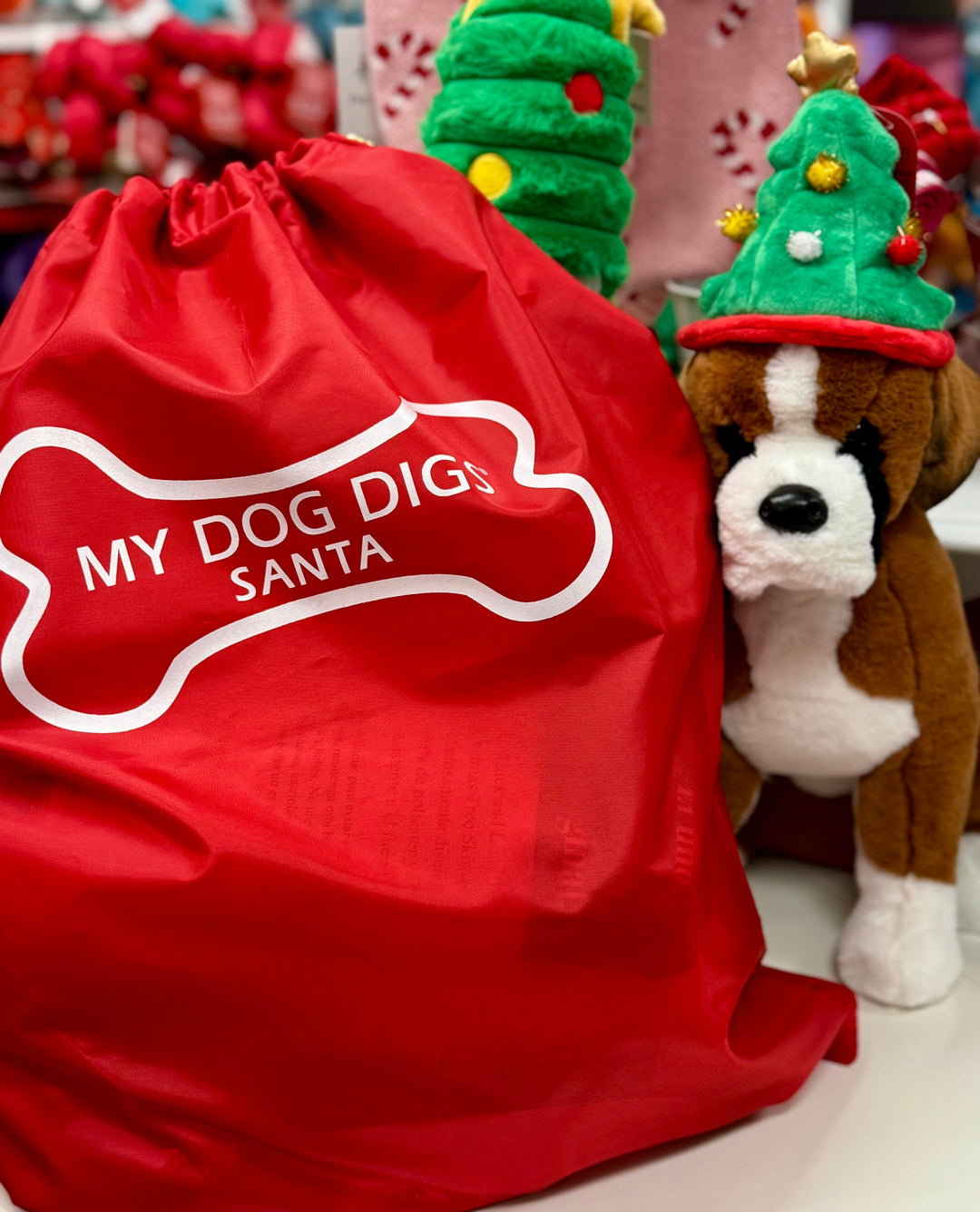 2025 Scalawags Holiday Swag Bag