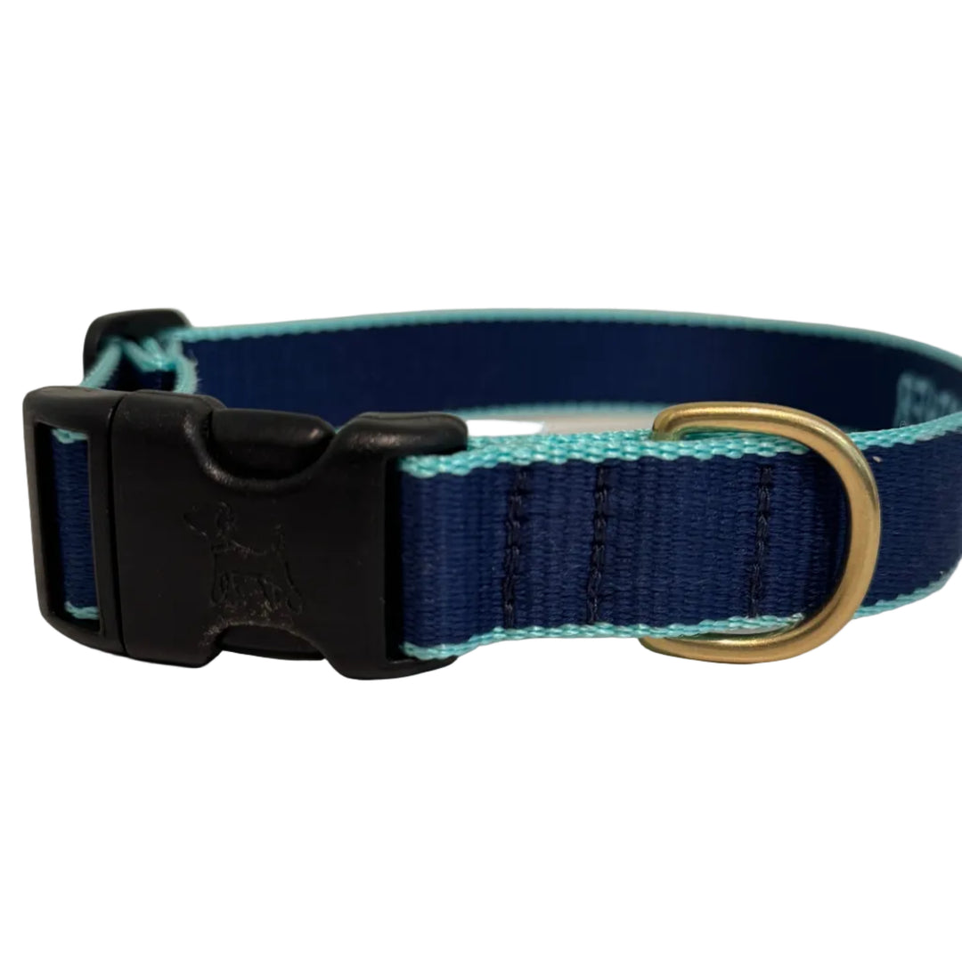 Little Brother Collar