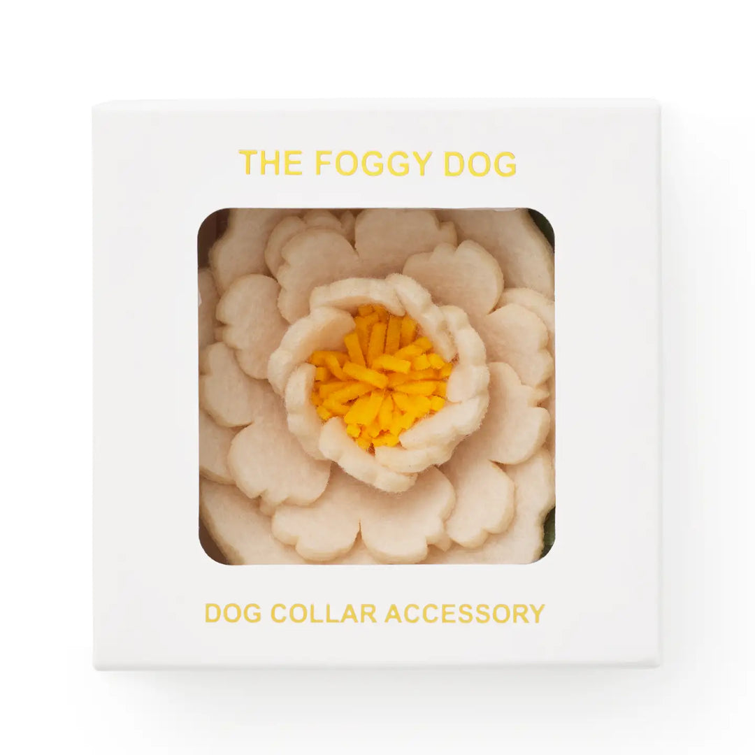 Ivory Peony Dog Collar Flower