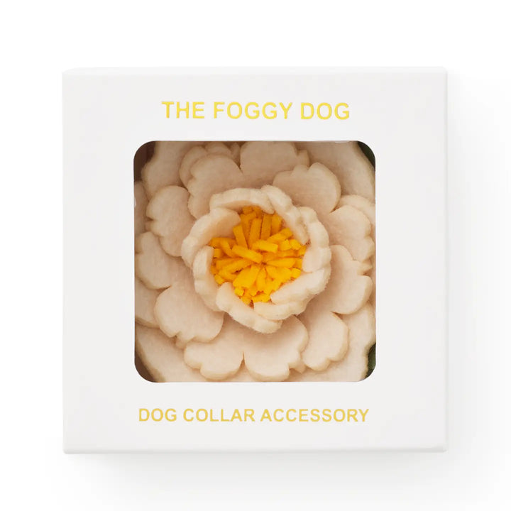 Ivory Peony Dog Collar Flower