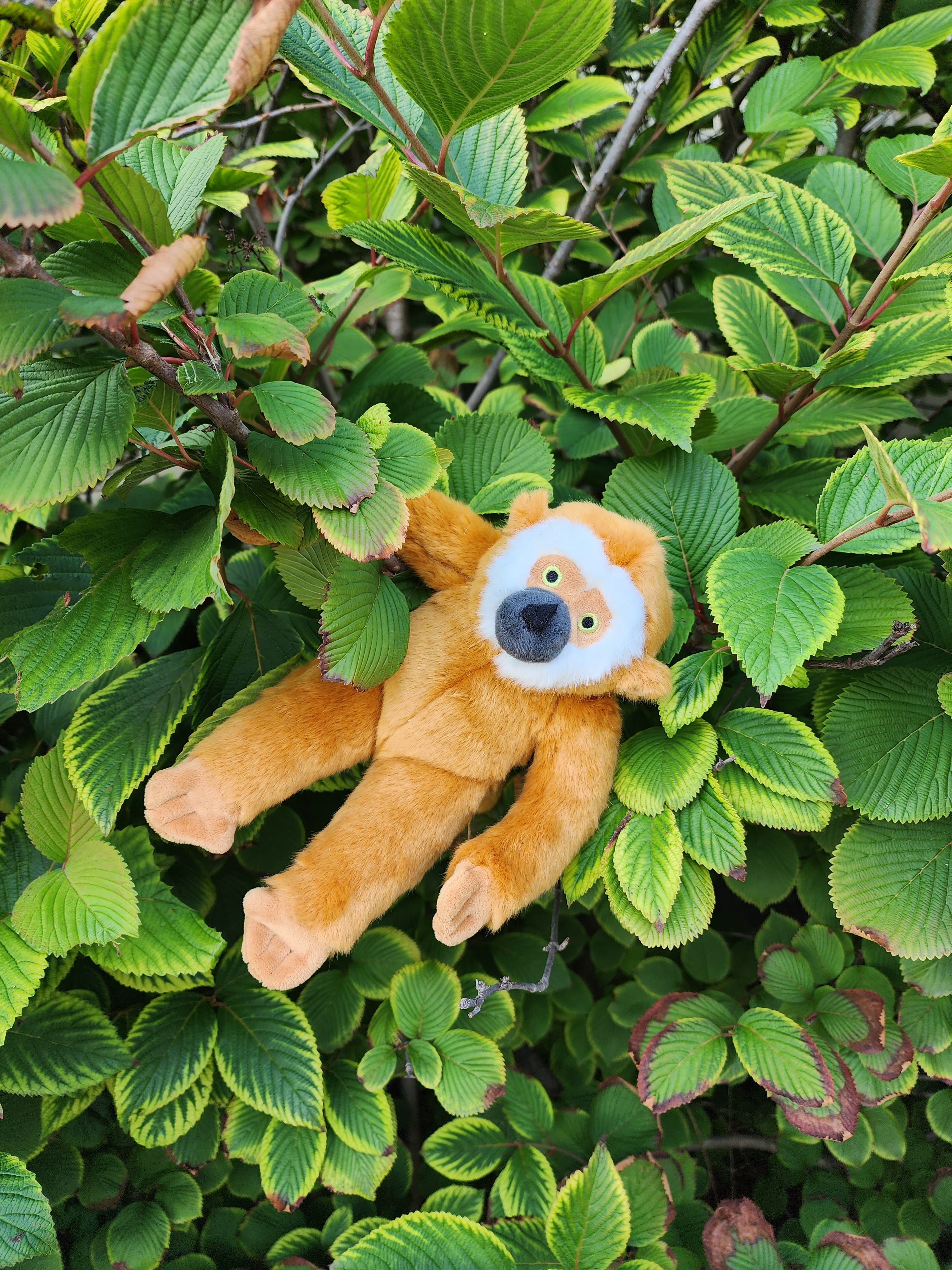 その他 WASELEY BEAR&MARCEL MONKEY Marcel Monkey Cymbals in The Journey by The Campers from Vapour