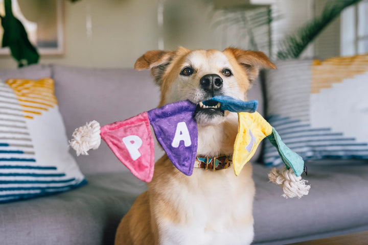 Party Animal Tug N' Party Banner Dog Toy