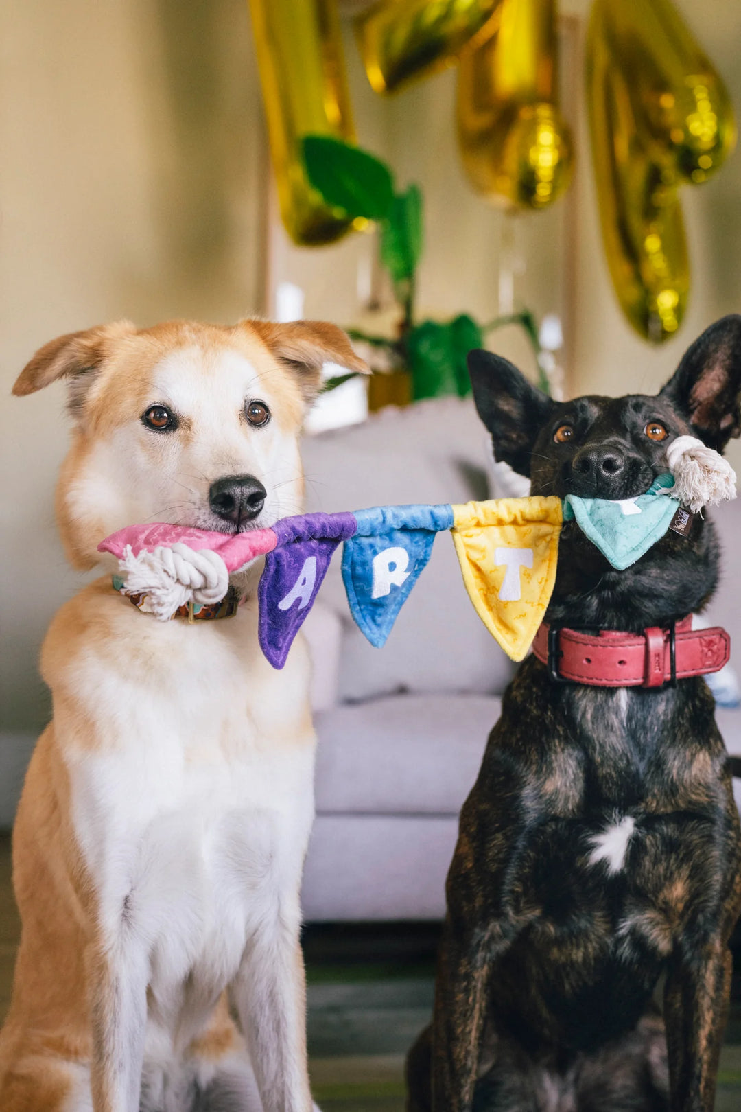Party Animal Tug N' Party Banner Dog Toy