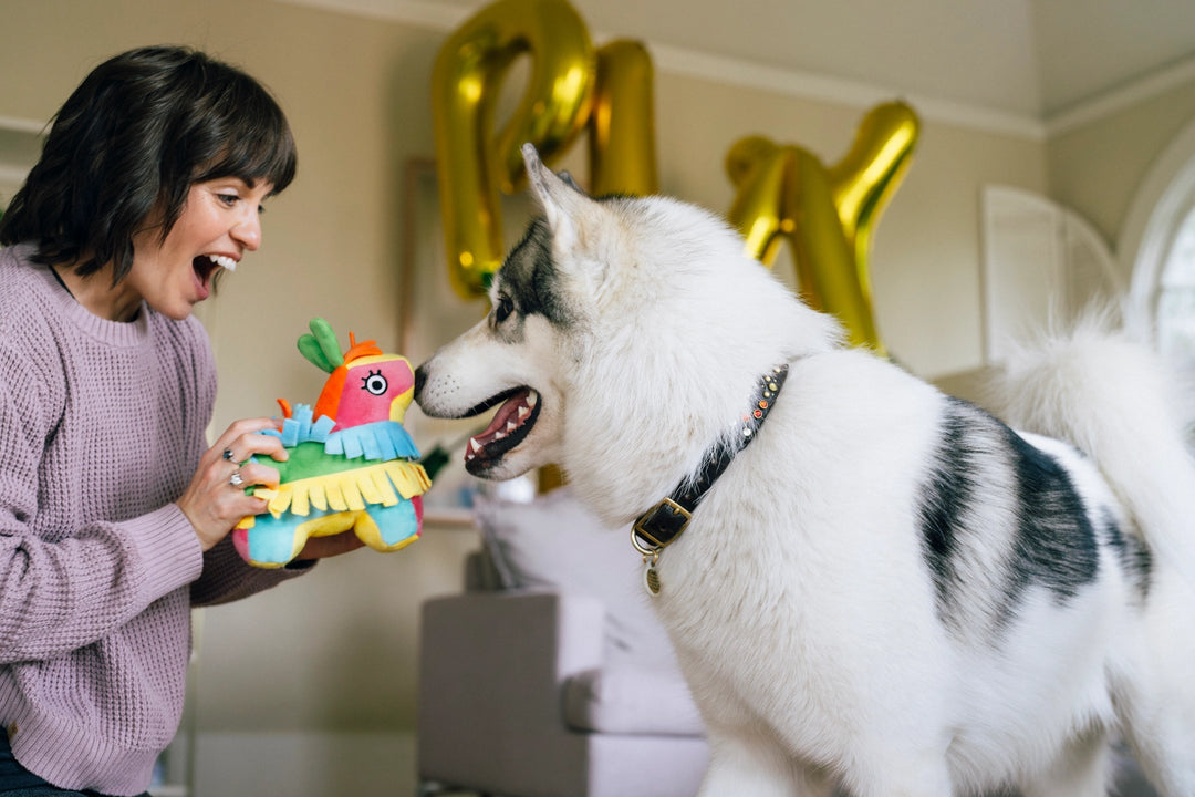 Party Animal Fiesta Fetch Pinata Plush Dog Toy