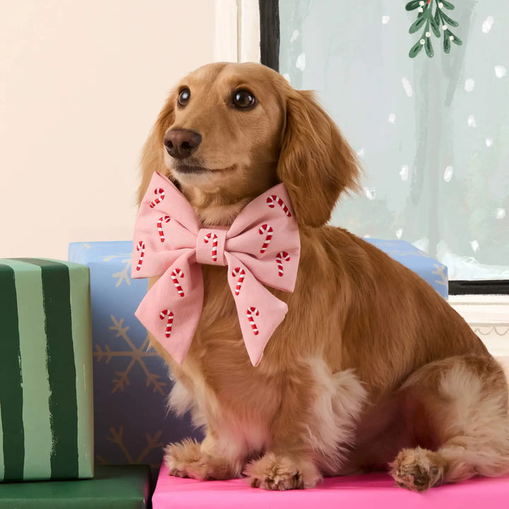 Pink Candy Canes Dog Bow