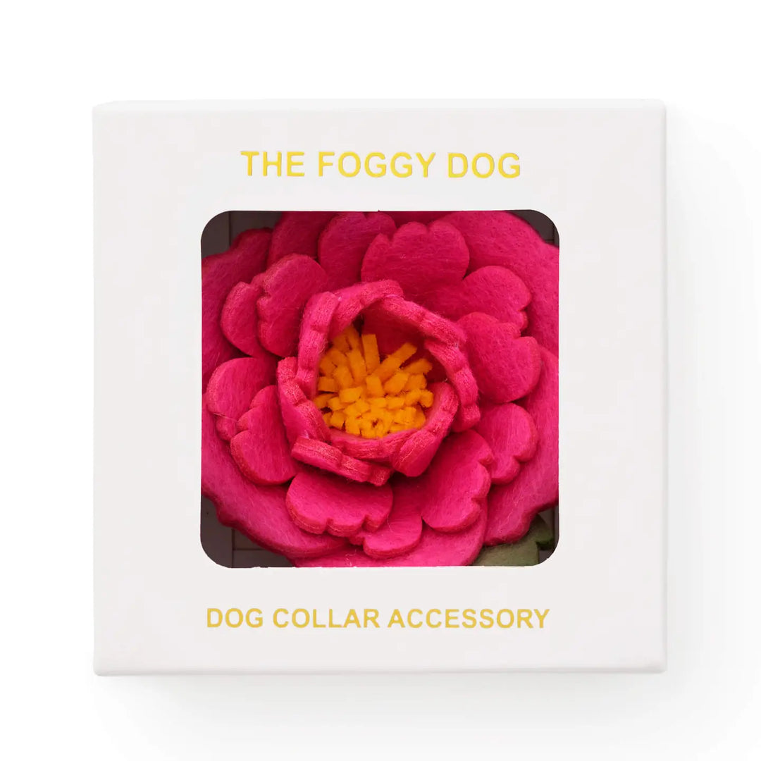 Pink Peony  Dog Collar Flower