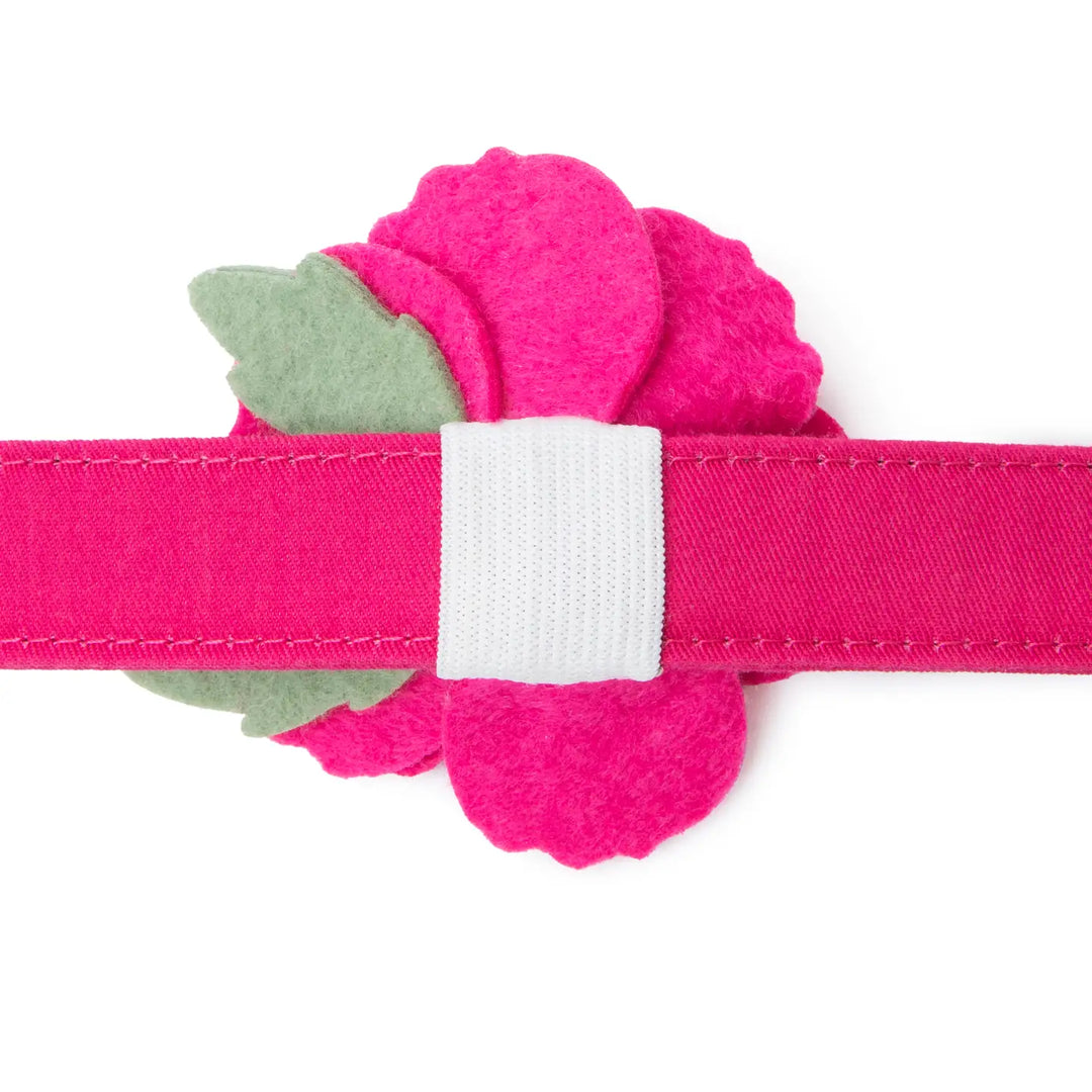 Pink Peony  Dog Collar Flower