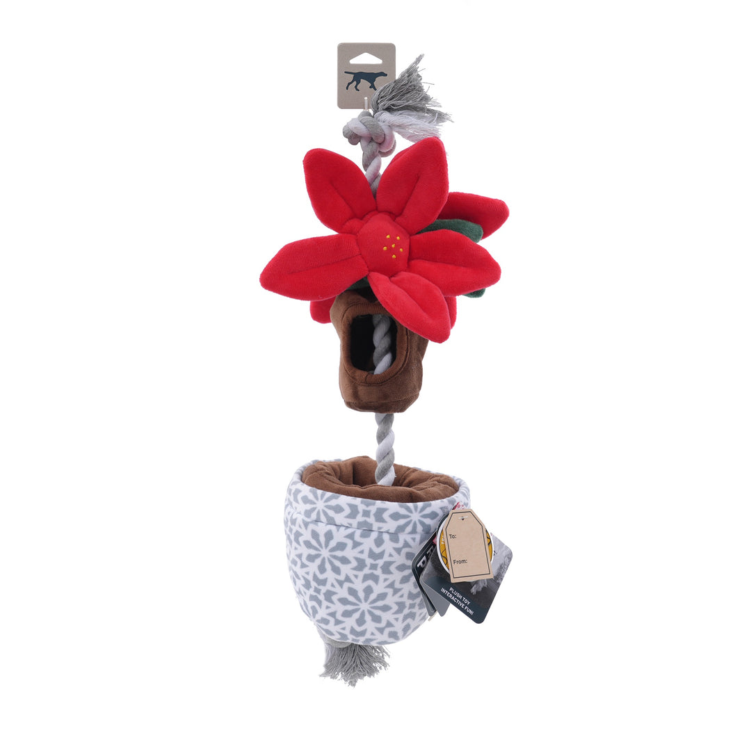 Treat & Tug Poinsettia Dog Toy