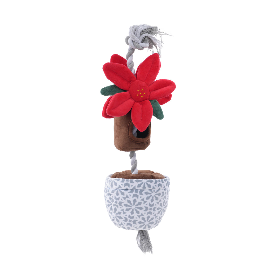 Treat & Tug Poinsettia Dog Toy