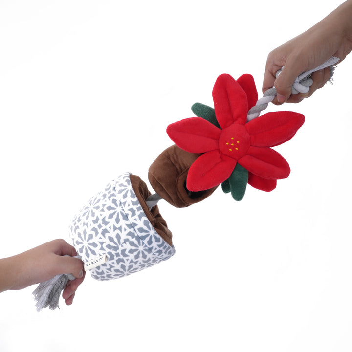 Treat & Tug Poinsettia Dog Toy