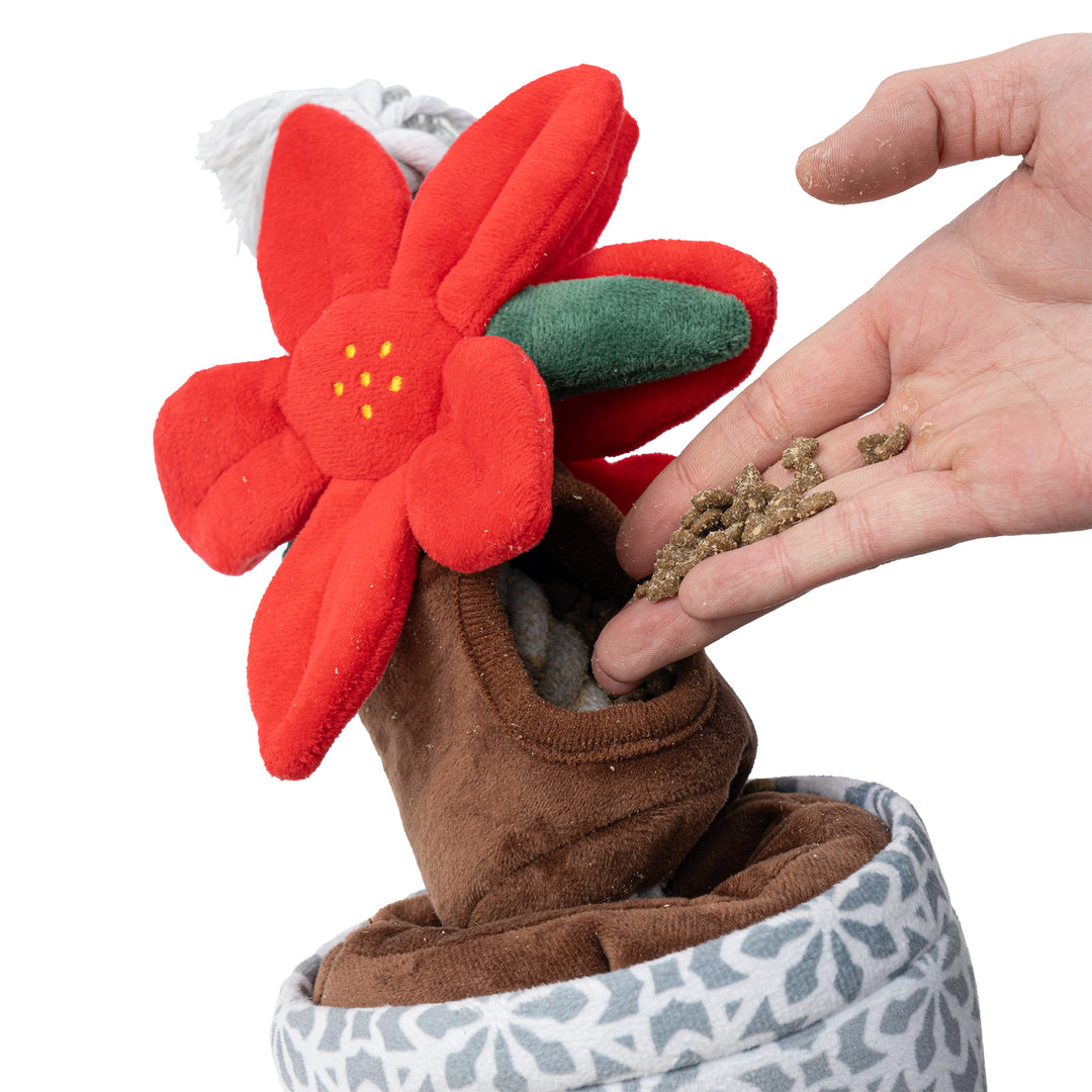 Treat & Tug Poinsettia Dog Toy