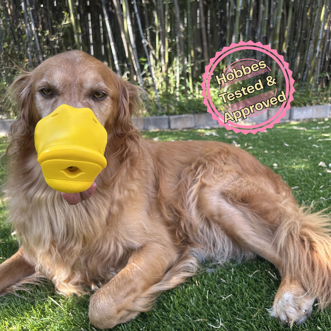 The Quacker Treat Puzzle Dog Toy