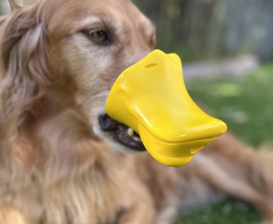 The Quacker Treat Puzzle Dog Toy