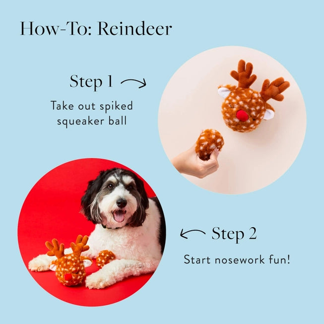 Reindeer 2-in-1 Bounce Dog Toy