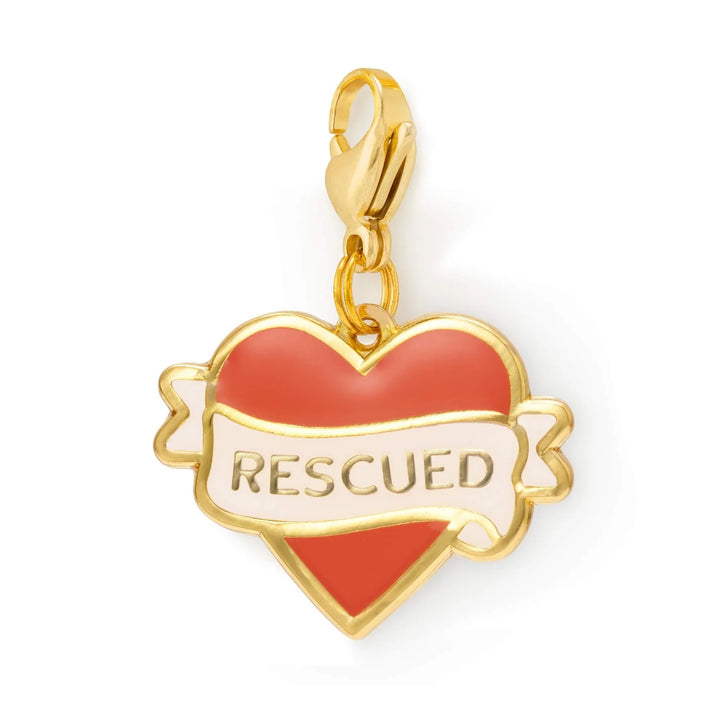 The Foggy Dog Collar Charm Collection
