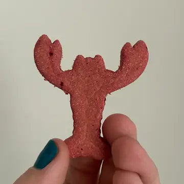Maine Lobstah Beet & Banana Biscuits