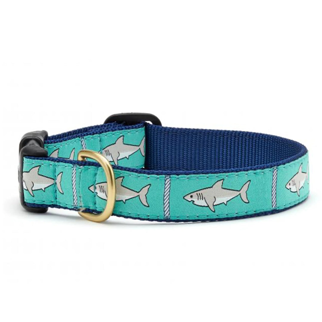Turquoise Shark Dog Collar